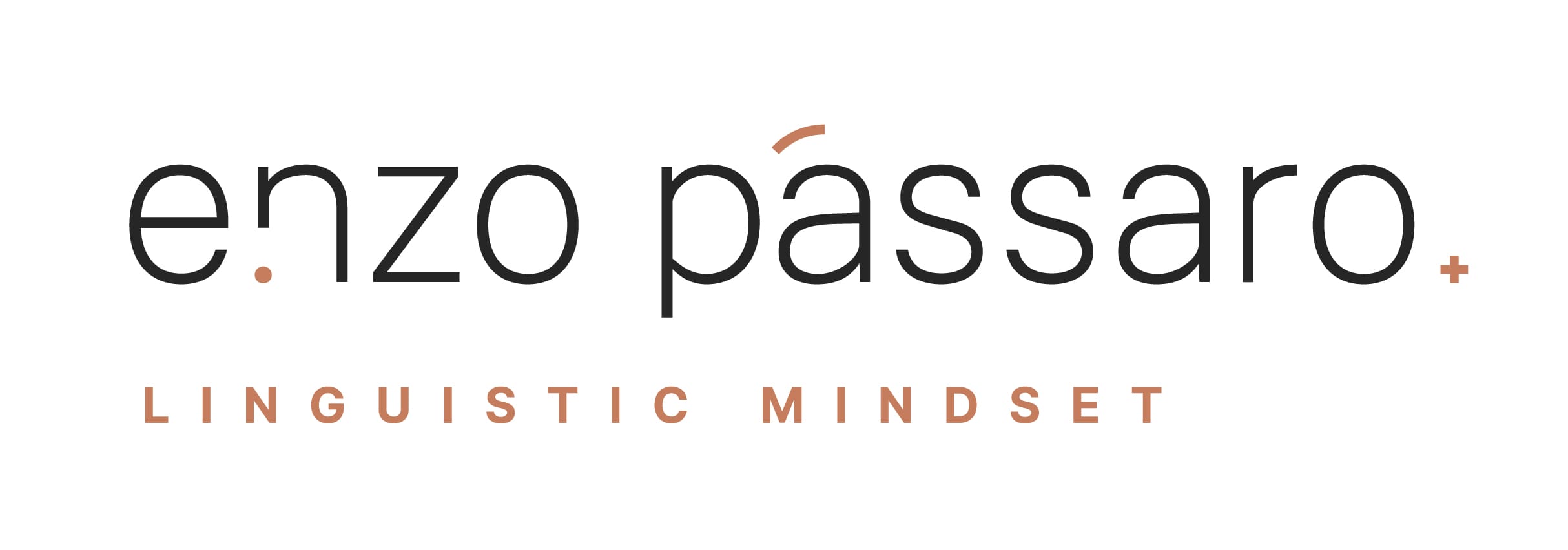 ENZO PASSARO_logotipo bandiera_colori positivo