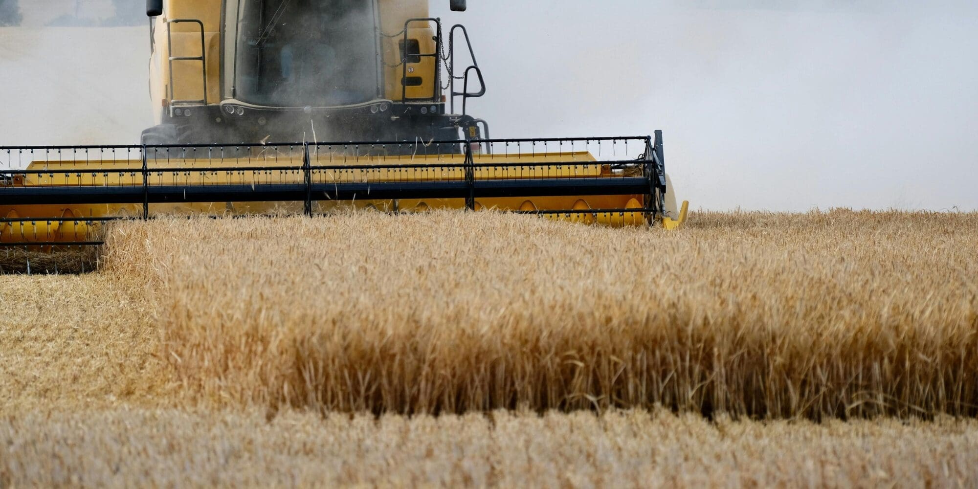 Featured image for Dalle filiere del cibo al valore territoriale